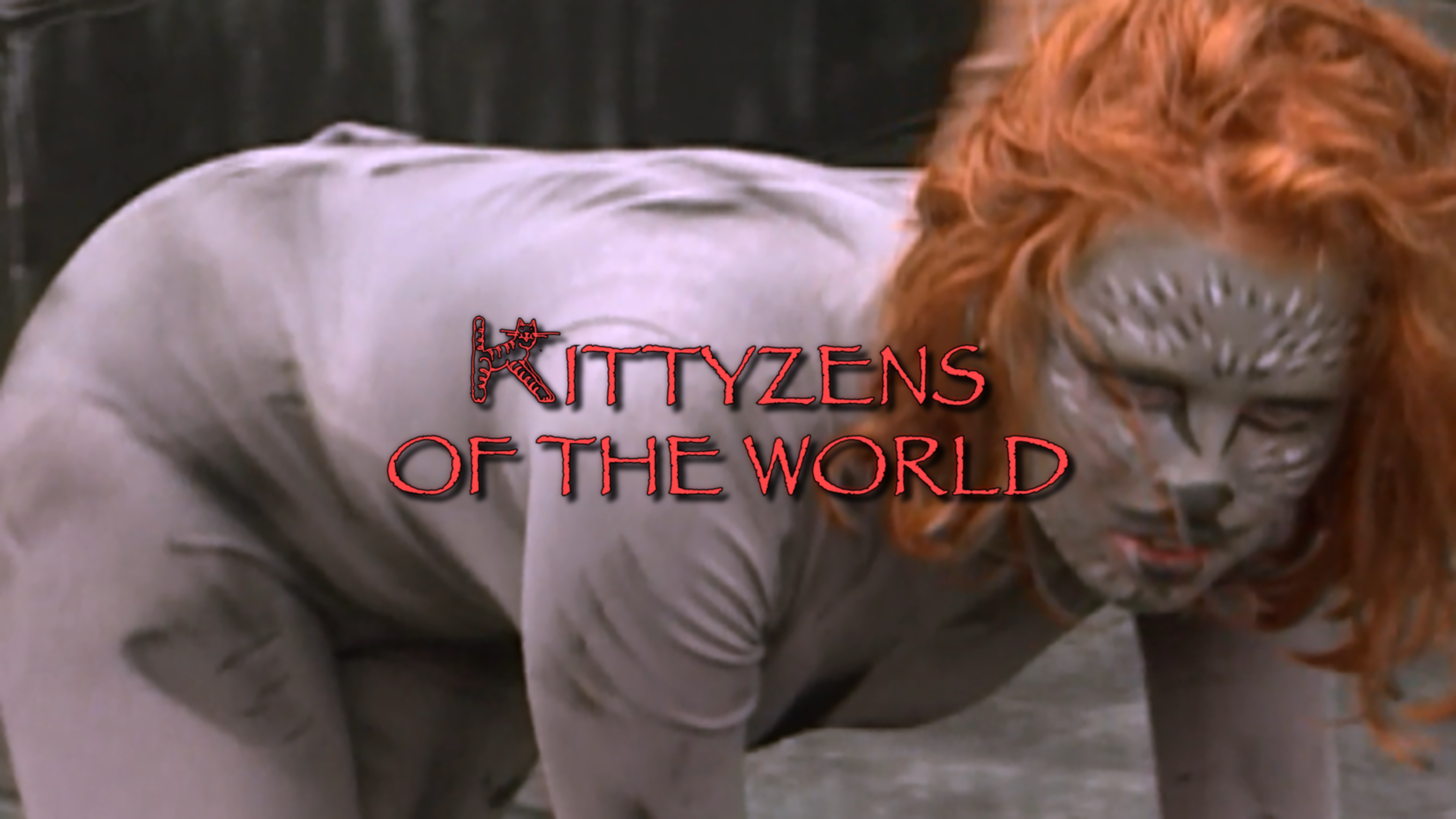 Kittyzens of the World